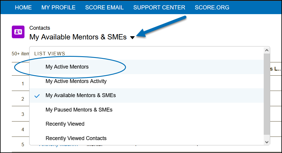 view active mentors.png